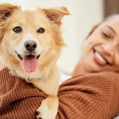 愛犬が飼い主と他人の違いを判断する基準は？, 4.全体的なシルエット, 5.行動パターン, 犬が信頼している人にみせる行動