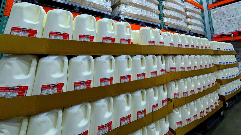 Fresh produce, Dairy products, Protein bars, Bagels and bread, Tortillas