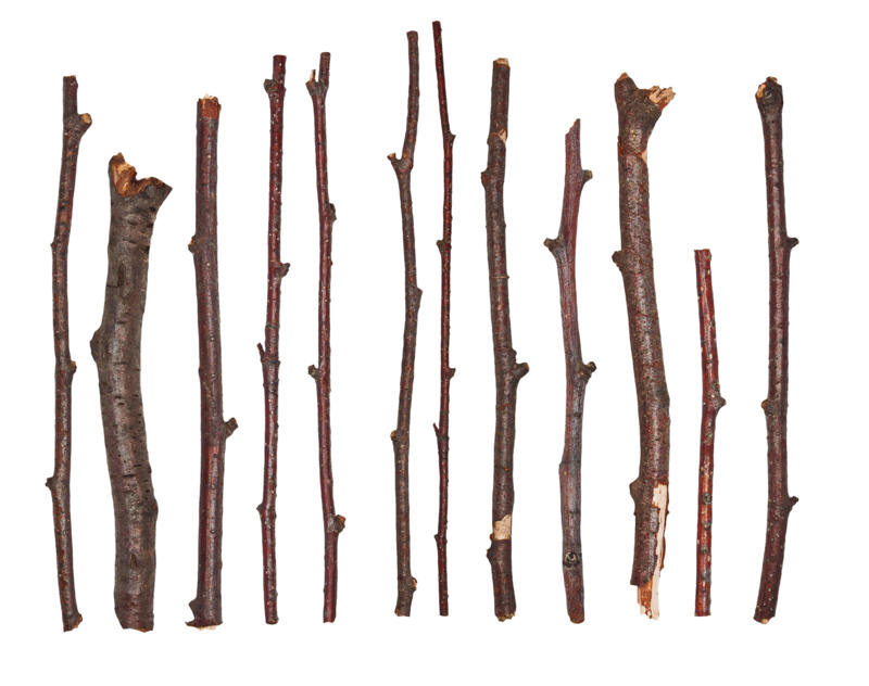 Branches 30 DIY Christmas decorations made from everyday objects, Clothespins, Wool blankets, Paint chips, Wine corks, Candy canes, Deck of cards, Pinecones, Sheet music, Cookie cutters, Pennant flags, Blanket scarfs, Magazines, Jam jars, Mason jars, Branches, Christmas light bulbs, Toilet paper rolls, Christmas cards, Envelopes, Salt shakers, Wrapping paper, Coffee filters
