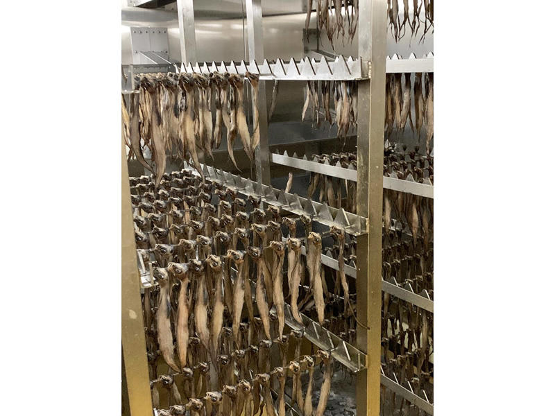 「幻魚」はどんな魚？, 幻魚を使った絶品グルメを堪能♪, ①幻魚天ぷら丼／1,100円, ②幻魚天ぷら盛り合わせ／550円, ③幻魚干物天ぷら／550円, 見て学べる「幻魚紹介コーナー」も！, 名立の味をお土産に！オンラインショップもチェック♪, アクセス＆イベント情報