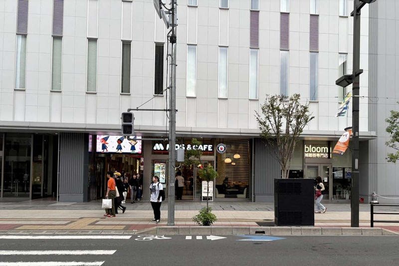 大宮駅周辺の人流と商業集積, 658億円再開発の経緯, 圧迫感の強い商業空間, 利用客との乖離したテナント配置, 公共資金投入の妥当性, テナント交渉の困難, 話題性と競争圧力, 失敗に直面する象徴施設