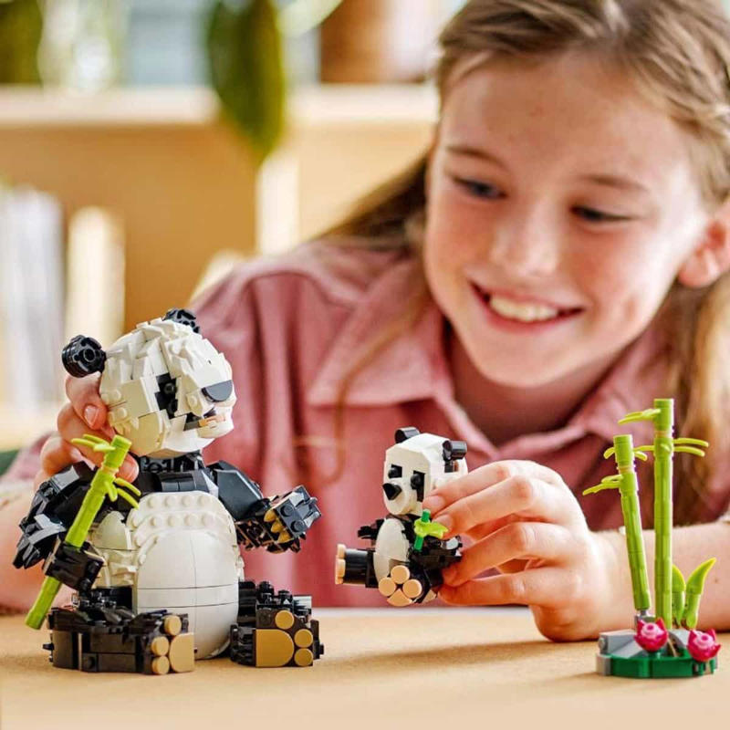 Wild Animals: Panda Family Wild Animals: Panda Family, Panda Sanctuary Animal Care, Pony Ranch & Stable, Horse and Pet Vet Clinic, Petite Sunny Bouquet, Zoey's Time Owl