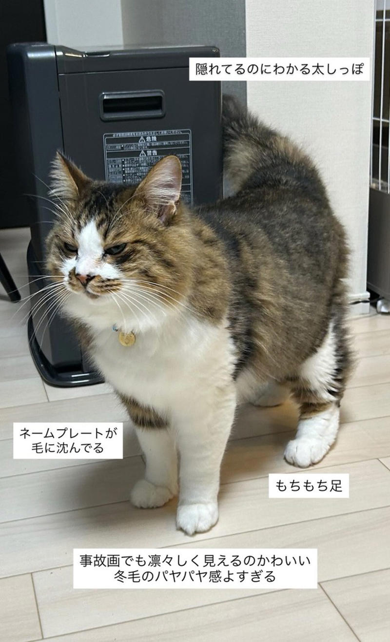 静かにしていると思ったら…「2人で変な遊びしてました」, “すね毛とほたて”の誕生秘話　きっかけは「まさかのブチギレ事件」, 兄弟みたいな関係？ほたての甘え方にほっこり, 「すね毛とほたて」シリーズ、今後も続行予定