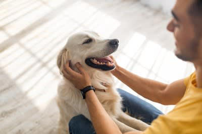 犬から『好かれやすい人』が普段からやっている行動５選, 1.犬が自ら近づいてくるのを待つ, 2.落ち着いた態度や声音で接する, 3.視界に入る位置から触れる, 4.犬のサインを察して適切に対応する, 5.ご褒美や褒め言葉を適切に使う, 犬に好かれるために注意すべき点