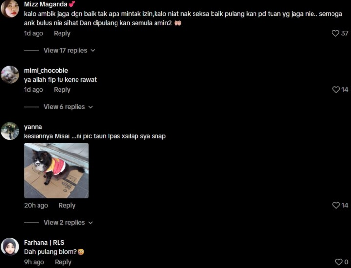 Shell Beseri appeals for “Misai” to be returned, Misai is ill and under treatment, CCTV shared to help identify the individual, Public support from Malaysians and cat lovers, Misai returned thanks to viral plea, Understanding FIP in cats