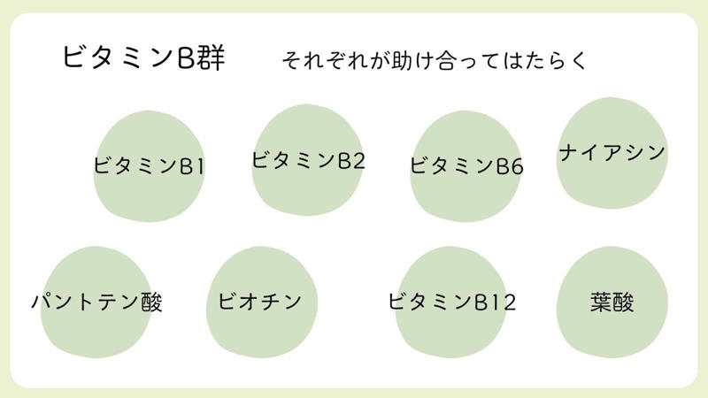 エネルギーの材料となる糖質, 体をつくるたんぱく質, 代謝をサポートするビタミンB群, 鉄の摂取も意識する, 代謝に関係する栄養をバランスよくとる