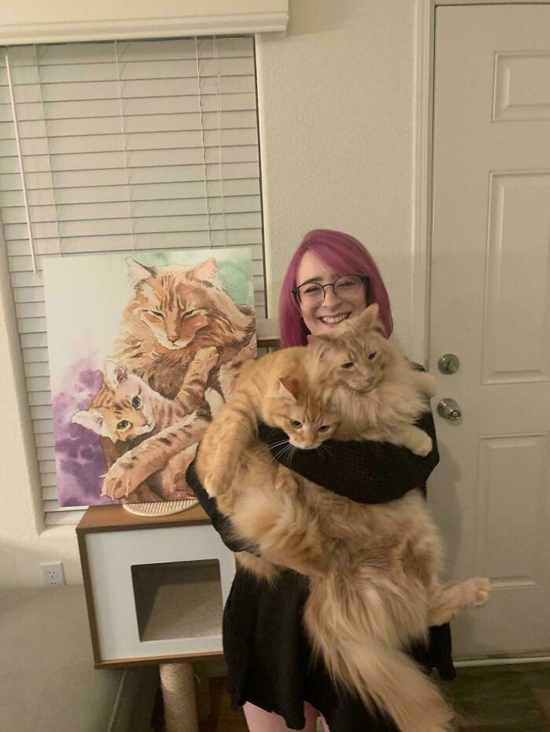 #45 So Much Floof #3 Two Cats, One Heart, #5 Unconditional Love.!!!!, #7 This Is What Cat Engagement Photos Would Look Like, #11 Two Cats Licking Glass Door, #15 They’re Always Plotting, #17 My Black Cat Looks Like My White Cat’s Shadow, #19 Meowfie, #21 Relationship Goals, #23 Perfect Fit, #27 Two Cats Cuddling Each Other In A Coast Of Istanbul, #29 *sound Of A Can Opening*, #31 My Cat And Her Little One (No Name Yet), #33 Planted A Tiny Wheatgrass Yard On My Balcony For My Boys, #35 Mama Pebbles And Her Child Primrose, #37 I Bought My Cats Child Sized Camp Chairs, #41 I Think They Are Starting To Get Along, #43 One More Episode Before Sleep, #45 So Much Floof, #47 Tried To Capture A Moment Of Friendship And Peace