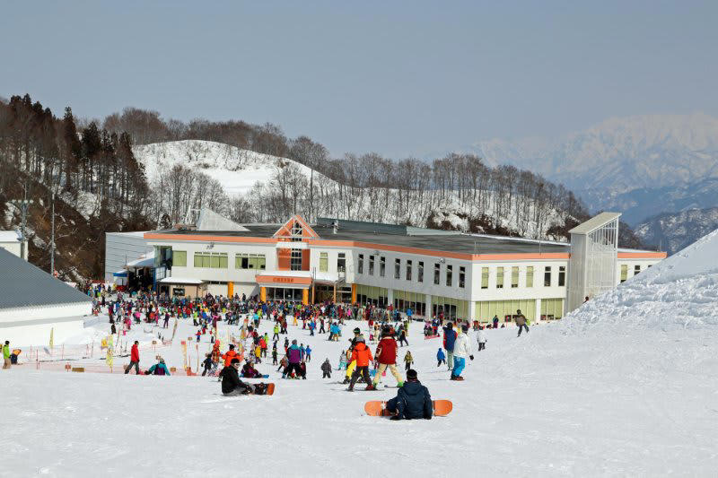 今年のJR東日本は「雪」に本気！ゲレンデ直結の魅力, 上越新幹線で直行「ガーラ湯沢スキー場」, 直通「たにがわ」号運行スケジュールと料金のお得な活用術, お得な切符とプランの活用, もう一つの注目株！深夜発「臨時特急アルプス」と白馬エリアへのアクセス