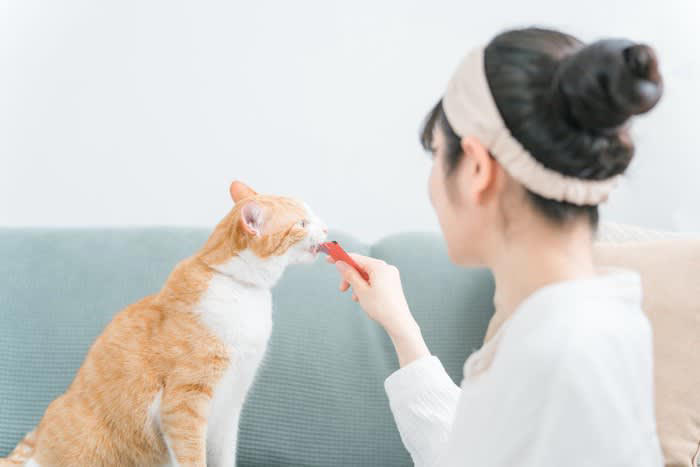 猫が飼い主に「お願い」しているときのサイン5選, 1.鳴きながら見つめてくる, 2.飼い主の足元をうろうろする, 3.ドアの前で鳴く・待ち伏せする, 4.手や顔を前足でちょんちょんと触る, 5.おもちゃや物を持ってくる, 猫の頼みごとにどう応える？上手な対応のコツ, まずは“何を求めているのか”を観察, すぐ応えられないときは声かけだけでもOK, 応えたあとは軽くスキンシップを, お願いに応えられないときはどうする？“断り方”の工夫, やさしく声をかける・撫でるだけでも, 代替案を用意してみる, 要求鳴き・しつこいアピールは無視する“時間”を決めて