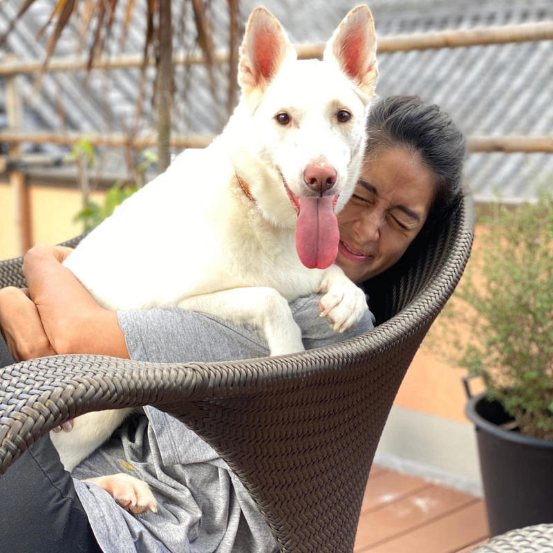 ■小さい頃、犬だけは飼ってもらえなかった, ■娘と動物たちはきょうだいのような関係, ■保護犬ボランティアで娘は人生勉強, ■子育てのこだわりは、こだわらないこと！？, ■勉強が苦手な母親でも、娘には学習習慣を, ■子育ての正解って？　親はどうあるべき？