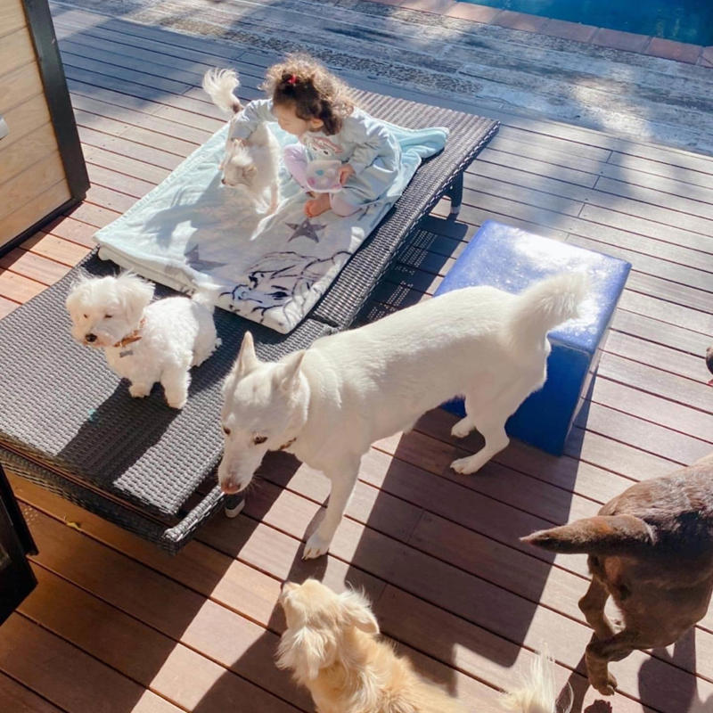 ■小さい頃、犬だけは飼ってもらえなかった, ■娘と動物たちはきょうだいのような関係, ■保護犬ボランティアで娘は人生勉強, ■子育てのこだわりは、こだわらないこと！？, ■勉強が苦手な母親でも、娘には学習習慣を, ■子育ての正解って？　親はどうあるべき？
