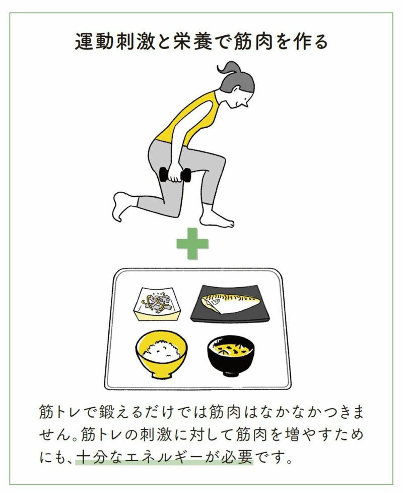 筋肉をつけて体組成を変える, 糖質をしっかり摂らないと筋肉はつかない, 消費エネルギー「プラス300kcal」で筋肉をつけやすく, 1日1800kcalのエネルギー摂取を目指す