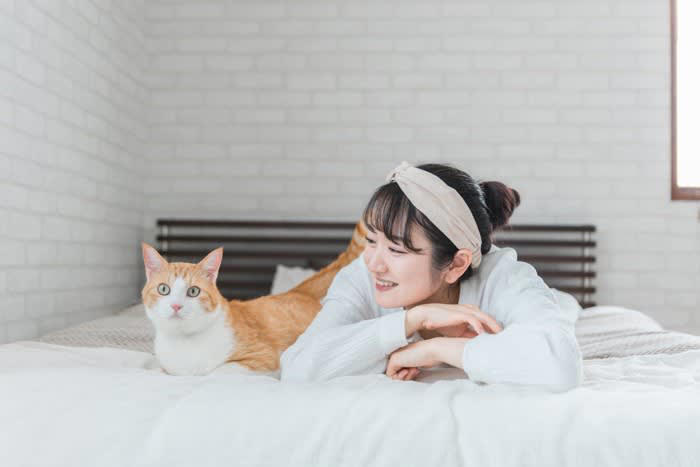 猫があなたを守ろうとしている4つのサイン, 1.唸り声をあげる・威嚇をする, 2.ずっとついてくる, 3.常に近くで見守っている, 4.獲物をおすそ分けする, 猫があなたを守ろうとするのはなぜ？