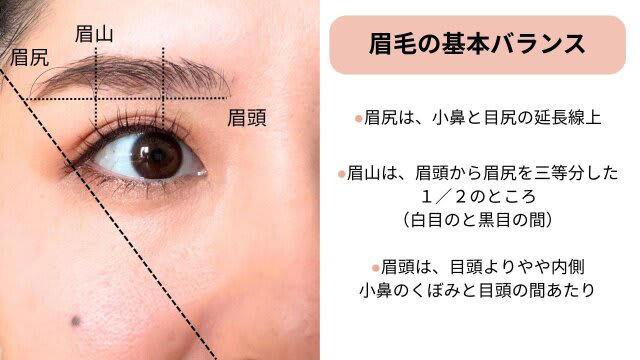 【基本の眉】美しい眉毛・残念な眉毛の違いは？, 美しい眉毛の基本, 残念な眉毛の基準, ヘアメイク直伝・眉毛の描き方マニュアル, 基本の眉のバランス, 自分に似合う眉の見つけ方, 【濃い眉さん】の基本の描き方, 【うす眉さん】の基本の描き方, 使用した眉コスメ