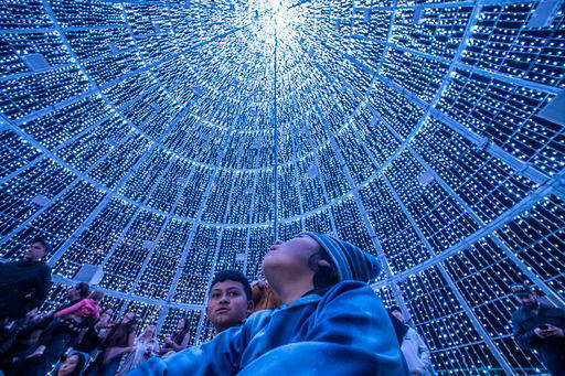 Mile High Tree, Mile High Drone Show, Zoo lights, Christmas in Color, Blossoms of Light , Trail of Lights at DBG Chatfield Farms , Luminova Holidays, More lights
