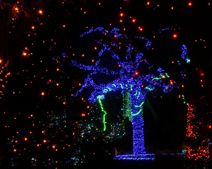 Best zoo lights, Best botanical garden lights, Best public holiday lights display, Best holiday market , Best destinations for snow