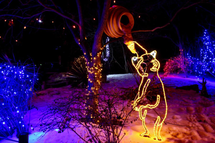 Best zoo lights, Best botanical garden lights, Best public holiday lights display, Best holiday market , Best destinations for snow