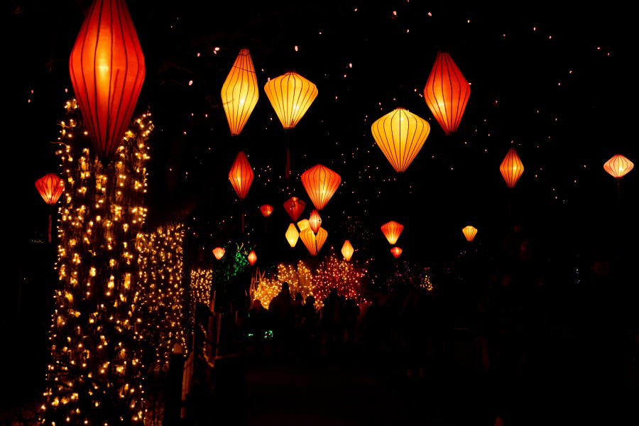 Best zoo lights, Best botanical garden lights, Best public holiday lights display, Best holiday market , Best destinations for snow