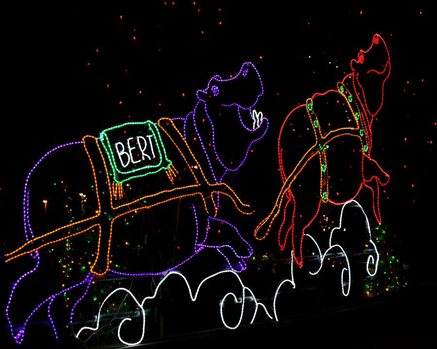 Best zoo lights, Best botanical garden lights, Best public holiday lights display, Best holiday market , Best destinations for snow