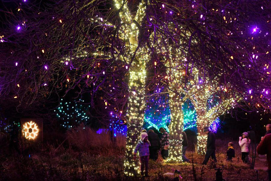 Best zoo lights, Best botanical garden lights, Best public holiday lights display, Best holiday market , Best destinations for snow