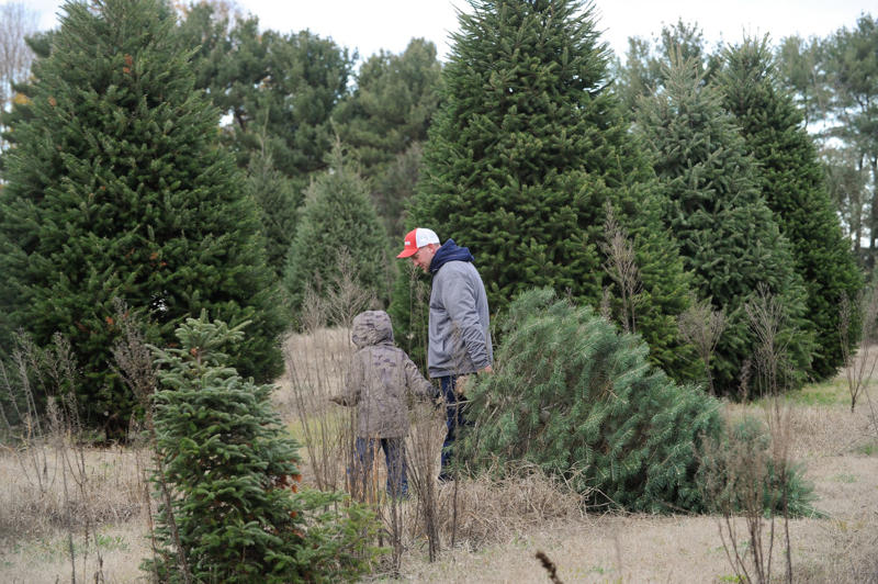 When does Advent start? How Christians prepare for Christmas, How and where to see millions of Delaware Christmas lights in 2025, Christmas concerts & more to warm your Delaware heart in 2025, These Delaware restaurants are open on Christmas Day 2025, Everything to know and do this Christmas at the Delaware beaches, Delaware Christmas pop-up bars slinging drinks like Resting Blitz Face, 22 Christmas, holiday parades in and around Delaware, Celebrate Christmas in Pennsylvania with holiday festivals at Hersheypark, Sesame Place