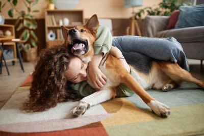 犬が「愛情を感じる」飼い主の行動6選, 1.目を見て優しく話しかける, 2.適切なタイミングでのスキンシップ, 3.安心できる「におい」, 4.穏やかで一貫した態度で接する, 5.要求にすぐ応答しない「待て」の訓練, 6.犬のサインを尊重する, 犬に「安心感」を与えるためにできること, 犬が「信頼している相手」に見せる態度とは？