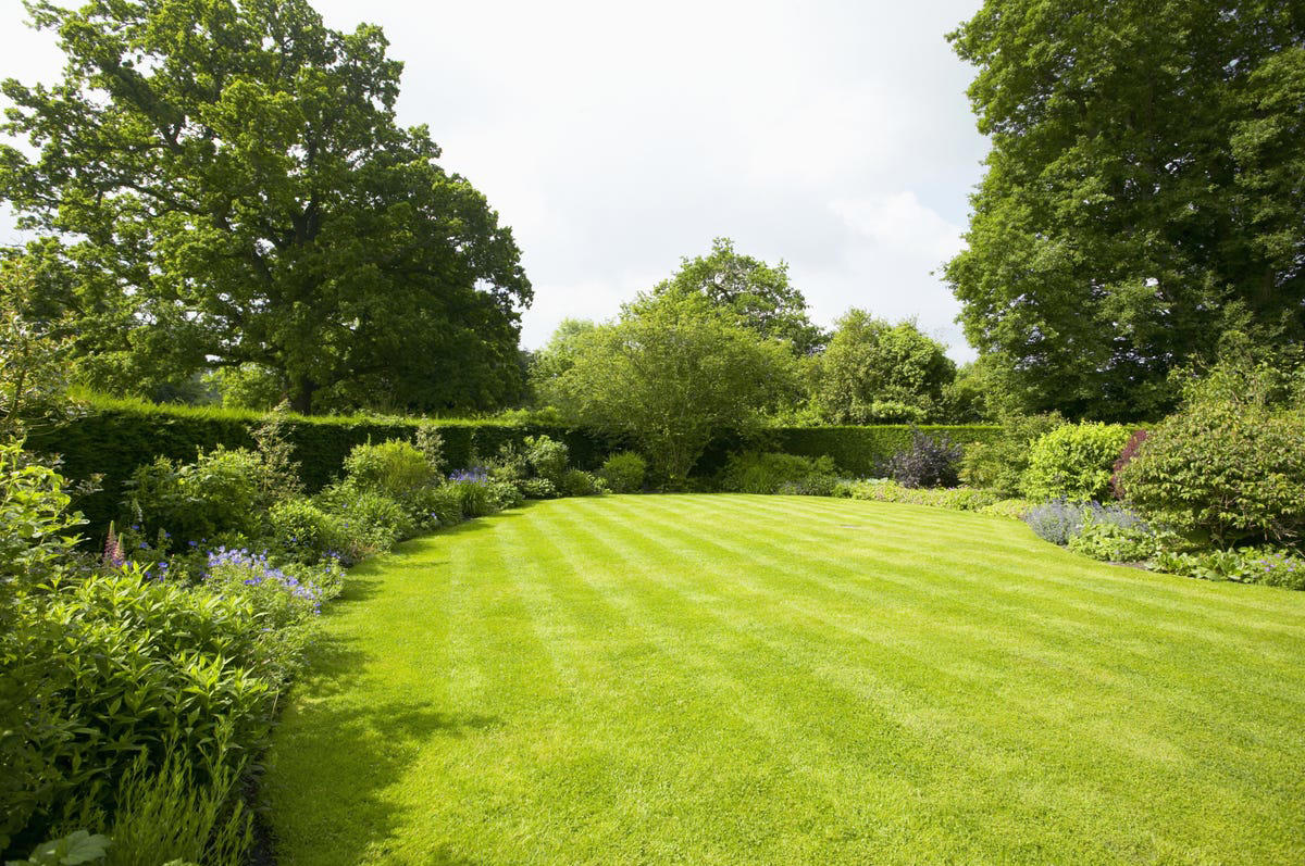Plot Beautiful Pathways, Incorporate Lighting, Plant a Low-Maintenance, Sustainable Garden, Develop Outdoor Living Spaces, Make Difficult Terrain Usable, Keep Up with Maintenance