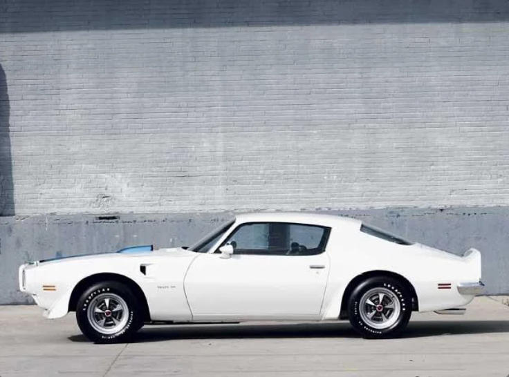 1970 Pontiac Firebird Trans Am 1970 Chevrolet Chevelle SS 454 LS6, 1970 Dodge Challenger R/T, 1970 Pontiac GTO Judge, 1970 Oldsmobile 442 W-30, 1971 Dodge Charger R/T, 1970 Buick GSX Stage 1, 1970 Ford Mustang Boss 302, 1973 Ford Mustang Mach 1, 1970 Mercury Cougar Eliminator, 1970 Pontiac Firebird Trans Am, 1970 Plymouth ’Cuda, 1971 AMC Javelin AMX, 1970 Dodge Coronet Super Bee, 1973 Chevrolet Camaro Z/28, 1977 Pontiac Firebird Trans Am, 1970 Ford Torino Cobra 429, 1972 Chevrolet Nova SS