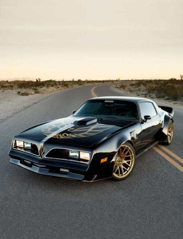 1977 Pontiac Firebird Trans Am 1970 Chevrolet Chevelle SS 454 LS6, 1970 Dodge Challenger R/T, 1970 Pontiac GTO Judge, 1970 Oldsmobile 442 W-30, 1971 Dodge Charger R/T, 1970 Buick GSX Stage 1, 1970 Ford Mustang Boss 302, 1973 Ford Mustang Mach 1, 1970 Mercury Cougar Eliminator, 1970 Pontiac Firebird Trans Am, 1970 Plymouth ’Cuda, 1971 AMC Javelin AMX, 1970 Dodge Coronet Super Bee, 1973 Chevrolet Camaro Z/28, 1977 Pontiac Firebird Trans Am, 1970 Ford Torino Cobra 429, 1972 Chevrolet Nova SS