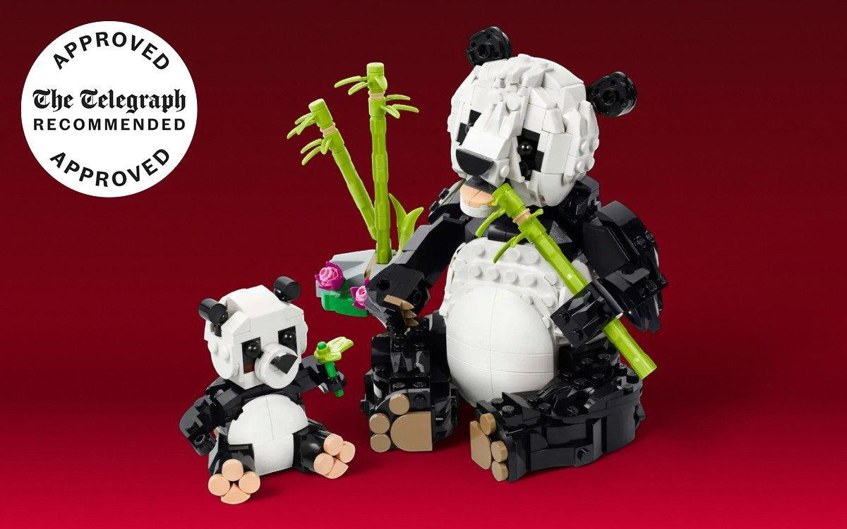 1. Best Lego Set for Kids: Wild Animals: Panda Family, 2. Best Lego Set for Adults: Game Boy, 3. Best Lego Set for Toddlers: Ice Cream Trip with Bluey, 4. Best Technic Set: Ferrari FXX K, 5. Best Lego Botanicals Set: Orchid, 6. Best Lego Bricks Set: Large Creative Brick Box, 7. Best Lego Star Wars Set: Grogu with Hover Pram, 8. Best Lego Wicked Set: Welcome to Emerald City, 9. Best Lego Harry Potter Set: Hogwarts Express Train Set with Hogsmeade Station, 10. Best Lego Ninjago Set: Ninja Spinjitzu Temple, 11. Best Lego Set for Young Gamers: Isabelle’s House Visit, 12. The Ultimate Lego Set: Star Wars Death Star