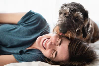 犬に顔を舐められると起こりうるリスク, 1.細菌に感染する恐れがある, 2.寄生虫に感染する恐れがある, 3.食中毒になる恐れがある, 4.アレルギー反応が引き起こされる恐れがある, 犬に顔を舐めることをやめさせる方法