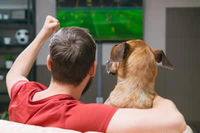 ️理解してる？犬がテレビを見ている心理, 動くものに興味がある, 暇だから見ている, 飼い主さんと同じものを見たい, ️犬にテレビを見せるときの注意点, 長時間視聴させない, テレビは低い位置に置く, 音量に気をつける