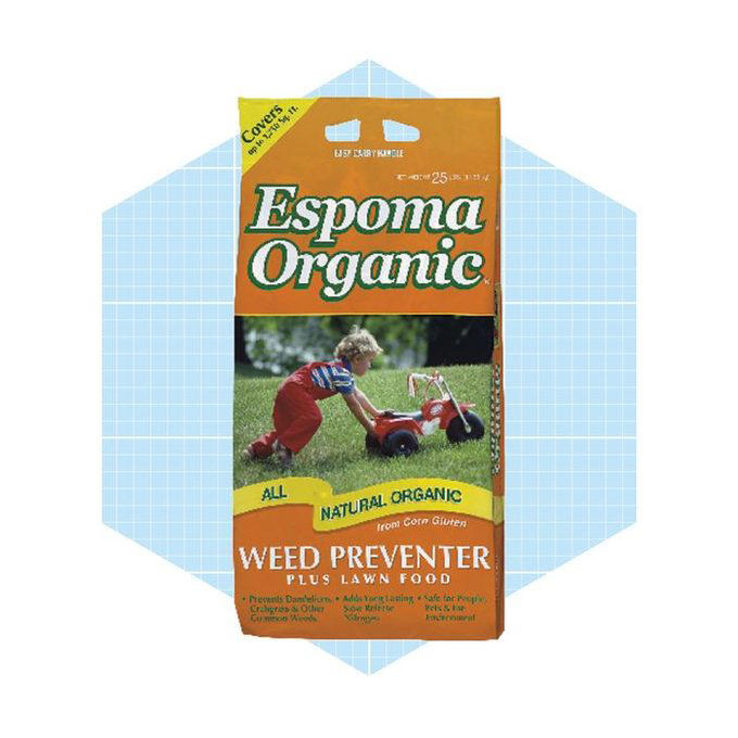 The Best Natural Weed Killers, What to Consider When Buying Natural Weed Killers, Why Trust Us, How We Found the Best Natural Weed Killers