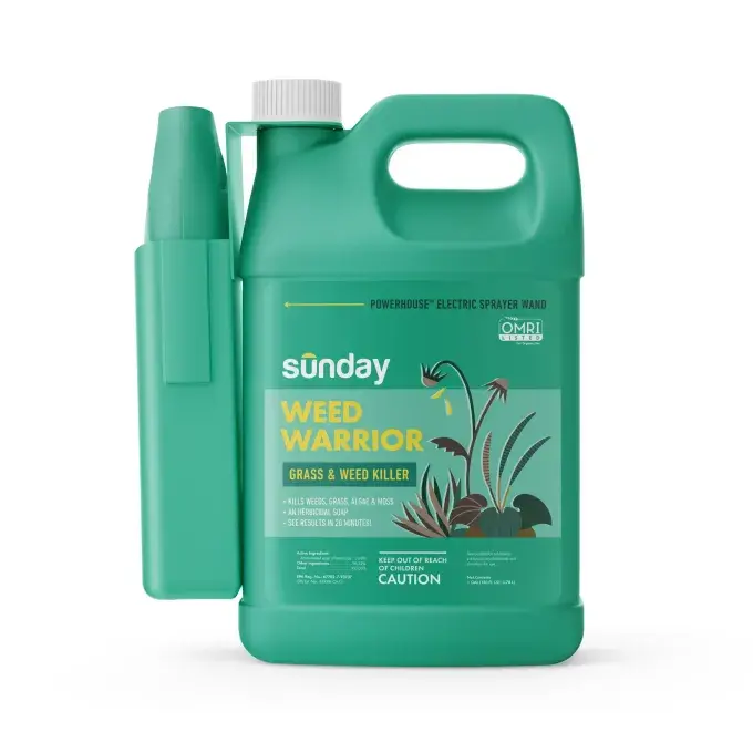 The Best Natural Weed Killers, What to Consider When Buying Natural Weed Killers, Why Trust Us, How We Found the Best Natural Weed Killers
