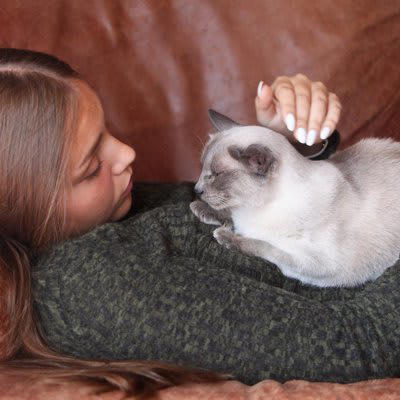 猫が心を許している人に見せるサイン5つ, 1.仰向けで寝転がる, 2.スリスリ・頭突きをする, 4.甘噛みをする, 5.見つめる・ゆっくりまばたきをする, 猫に信頼してもらうためのコツ