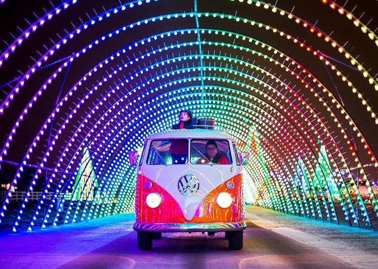 Mile High Tree, Mile High Drone Show, Zoo lights, Christmas in Color, Blossoms of Light , Trail of Lights at DBG Chatfield Farms , Luminova Holidays, More lights