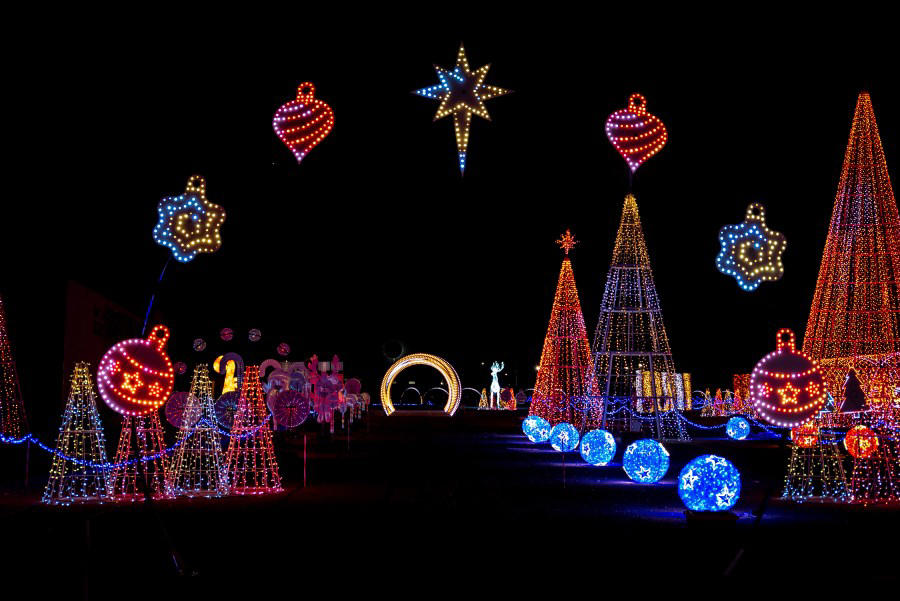 Mile High Tree, Mile High Drone Show, Zoo lights, Christmas in Color, Blossoms of Light , Trail of Lights at DBG Chatfield Farms , Luminova Holidays, More lights