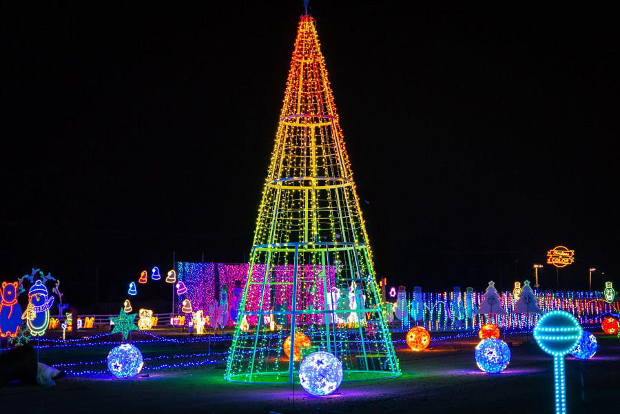 Mile High Tree, Mile High Drone Show, Zoo lights, Christmas in Color, Blossoms of Light , Trail of Lights at DBG Chatfield Farms , Luminova Holidays, More lights