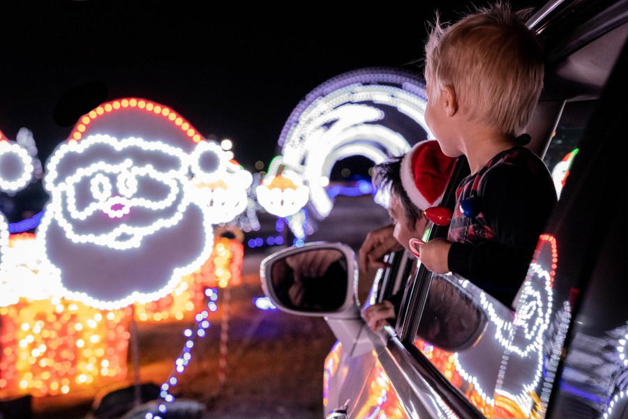 Mile High Tree, Mile High Drone Show, Zoo lights, Christmas in Color, Blossoms of Light , Trail of Lights at DBG Chatfield Farms , Luminova Holidays, More lights