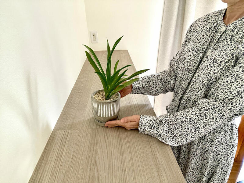 一度整えたら終わりではなく、“整えながら暮らす”, 1：朝いちばんに、軽く整える, 2：整える前に、眺めてみる, 3：毎日ひとつ、“小さな整え”を続ける, 4：自分に合った“片付けの時間”をもつ, 5：“きれいを楽しむ”気持ちを大切に, “きれい”は、がんばらなくても育っていく
