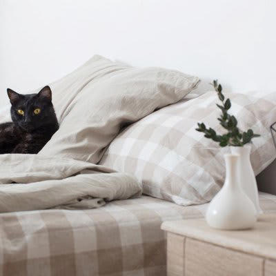 猫が飼い主の枕で寝ようとする理由5選, 1.飼い主のニオイがして安心, 2.暖かくて居心地イイ, 3.飼い主への愛情表現, 4.すこし高い位置が特別感, 5.テリトリーを示すため, 枕元の愛猫と安心して眠るためのポイント
