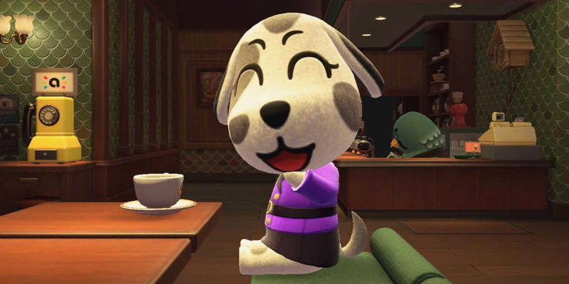             Derwin Is The Adorably Relatable Little Friend        ,             Rod Is A Tough Pirate With Some Perfect Catchphrase Opportunities        ,             Nana Is A Positive Pink Monkey        ,             Filbert's House Is Out Of This World        ,             Savannah, Because Where Else Can You Be Friends With A Zebra?        ,             Ketchup's Unique Design Lands Perfectly        ,             Punchy Could Be The Most Cat-Like Cat Villager        ,             Drift Has A Fantastic Look To Him        ,             Iggly's Bulging Muscles Are There Somewhere        ,             Portia The Dalmatian Is A Fashion Icon        