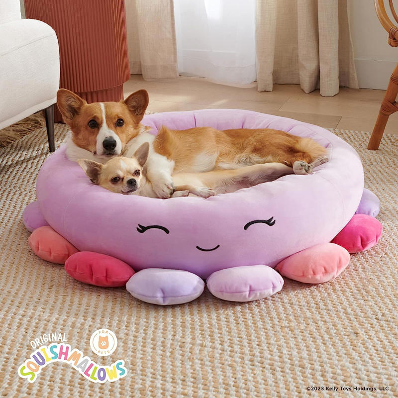 Connor The Cow Pet Hoodie, Beula Octopus Pet Bed, Cam The Cat Lick Mat, Halver Corgi Bed, It’s Raining Squish Pet Raincoat , Squishmallows Chew Mees 5-Pack, Reginald Corgi with Red Bandana