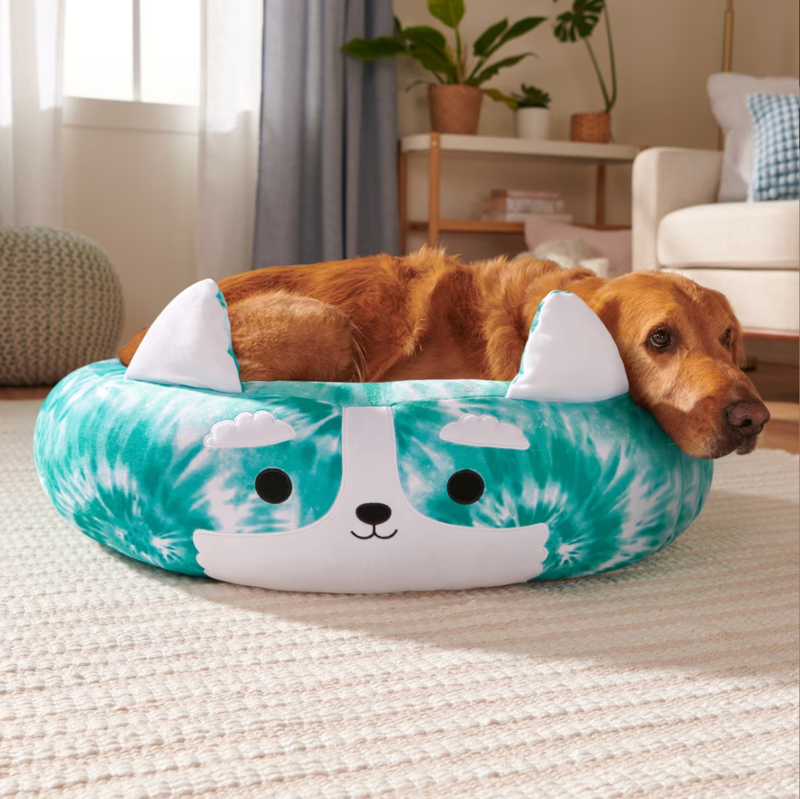 Connor The Cow Pet Hoodie, Beula Octopus Pet Bed, Cam The Cat Lick Mat, Halver Corgi Bed, It’s Raining Squish Pet Raincoat , Squishmallows Chew Mees 5-Pack, Reginald Corgi with Red Bandana