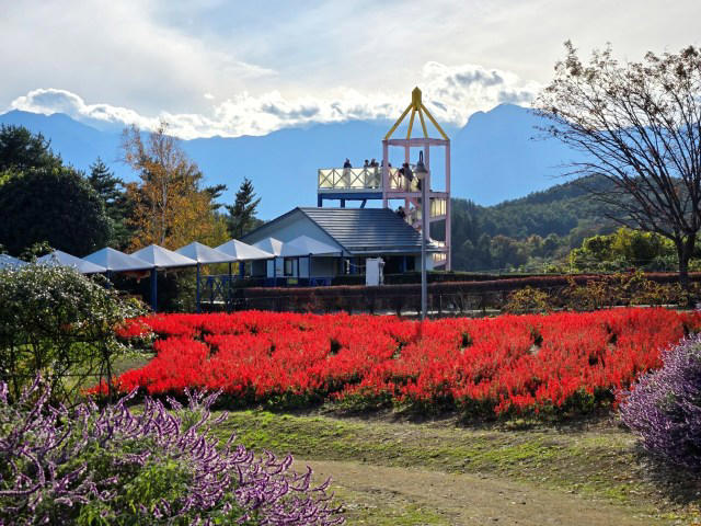 ・道の駅から伸びた謎のレール, ・南八ヶ岳花の森公園, ・願いが叶う!? 希望の鐘, ・今回ご紹介した施設の詳細データ