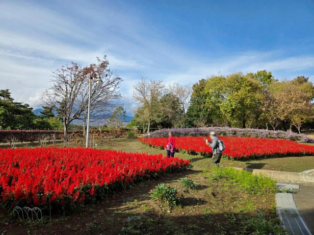 ・道の駅から伸びた謎のレール, ・南八ヶ岳花の森公園, ・願いが叶う!? 希望の鐘, ・今回ご紹介した施設の詳細データ