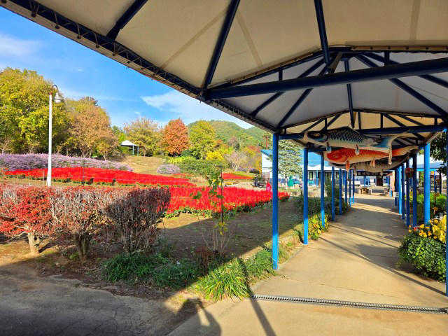 ・道の駅から伸びた謎のレール, ・南八ヶ岳花の森公園, ・願いが叶う!? 希望の鐘, ・今回ご紹介した施設の詳細データ