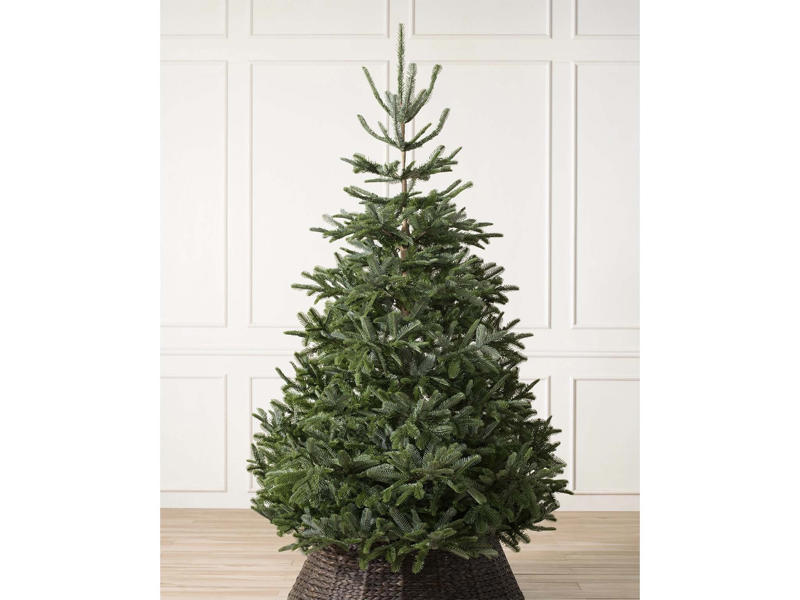 The best artificial Christmas trees for 2025 are: , How I tested, Balsam Hill Vermont white spruce, M&amp;S pre lit spruce Christmas tree, 3ft, Very Home sherwood real look full Christmas tree, Balsam Hill red spruce tree , Next white snowy Nordmann fir 6ft pre-lit Christmas tree , Cox &amp; Cox indoor outdoor fabulously full fir tree, potted, John Lewis pre-lit tree in zinc bucket, 3ft, Balsam Hill Nordmann fir flip tree, Habitat snowy beige Christmas tree, Next black lit twig Christmas tree, 3ft, Your questions on artificial Christmas trees answered, What is the best artificial Christmas tree?, How I selected the best artificial Christmas trees, How to choose the right size Christmas tree for your space, What materials/branch designs offer the most realistic finish?, What maintenance does an artificial tree require?