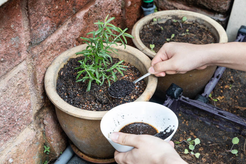 植物の肥料になる, セルライトを見えにくくする, ペットの臭いを除去する, 冷たい飲み物に使える, ホットケーキミックスに加える, 釣りの餌用ミミズを手に入れる, エネルギーを補給できる, 天然の洗浄スクラブとして使う, 暖炉の清掃に使用する, 蚊よけとして使う, イースターエッグの染料として使う, ペットのノミを取り除く, 肉を柔らかくする, 目の下のクマを解消する, 堆肥化を加速する, 鍋やフライパンを磨く, 髪の色を黒くする