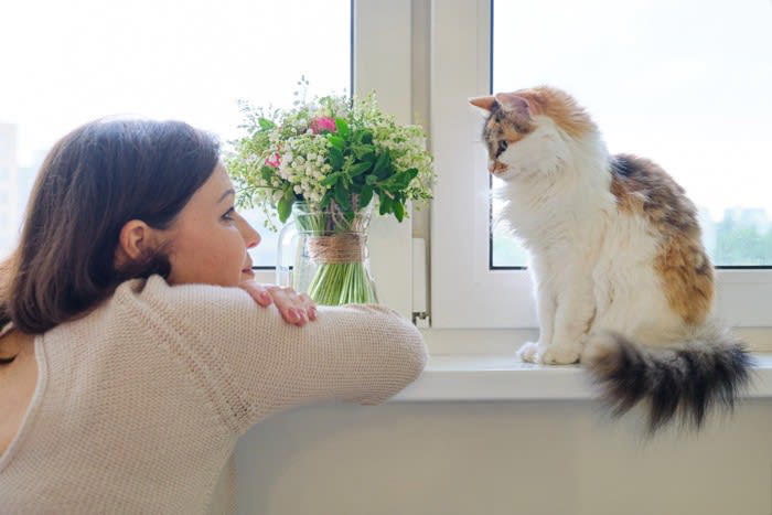 猫が覚えやすい人の言葉5選, 1.名前（〇〇ちゃん など）, 2.「ごはん」「おやつ」, 3.「おいで」「こっち」, 4.「ダメ」「イヤ」などの禁止ワード, 5.「ただいま」「おはよう」などのあいさつ, 猫が言葉を覚える理由とは？, 言葉を覚えてもらうコツ, 言葉と行動をセットにする, 毎回同じトーンで伝える, 無理に覚えさせようとしない, 短くてシンプルな言葉を使う